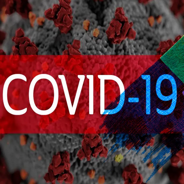 disinfection eco green pest and hygiene specialists