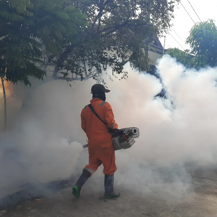 fumigation eco green pest and hygiene specialists